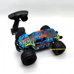 remote control car enoze 9000e