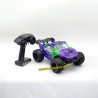 Enoze 003E 1/14 brushless 4wd rc monster truck