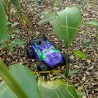 Enoze 003E rc monster car